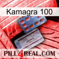 Kamagra 100 36